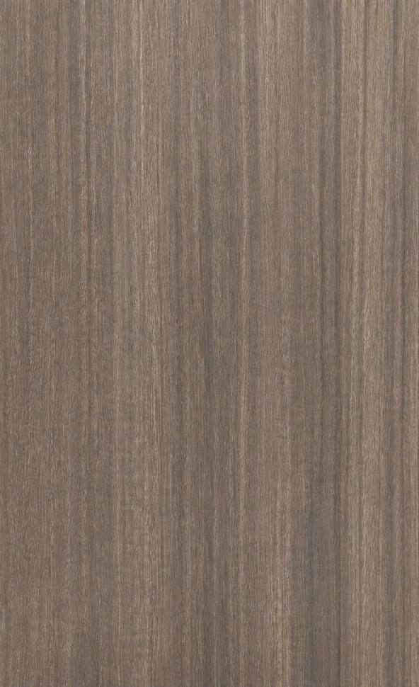 Warm Gray Eucalyptus